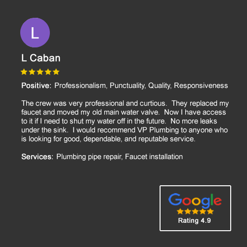 L Caban Google Review