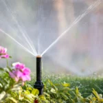 Outdoor Plumbing Prep for Spring: Sprinklers, Hose Bibs & More