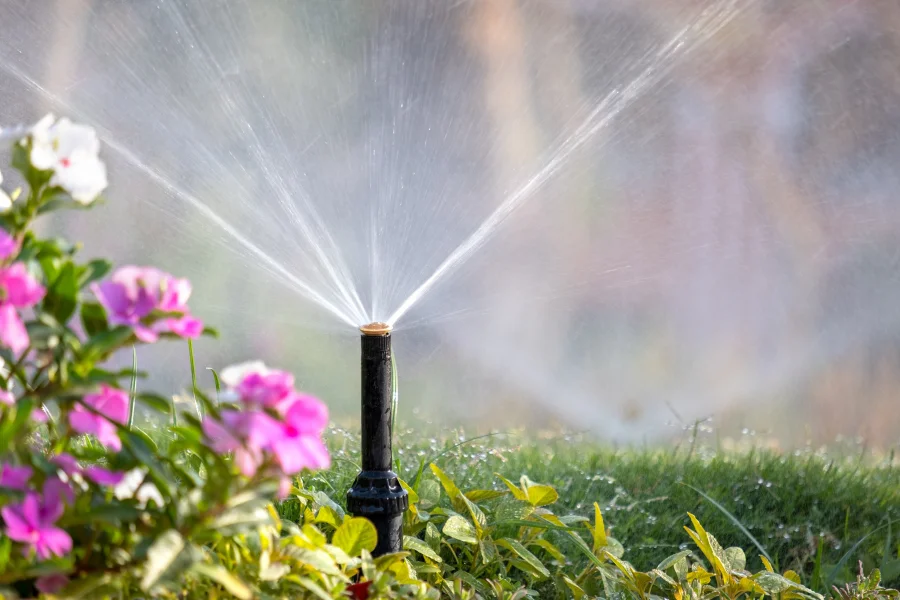 Outdoor Plumbing Prep for Spring: Sprinklers, Hose Bibs & More